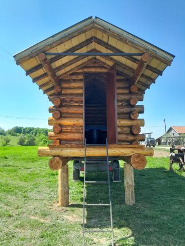 MiročBungalov的一个带梯子的小木屋