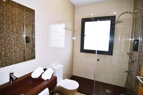 科尔武河畔米兰达Bed & Breakast EQUITARE RURAL的浴室配有卫生间、盥洗盆和淋浴。