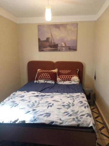 Dar Caïd Bou Drissضاية رومي的一间卧室配有一张壁画床