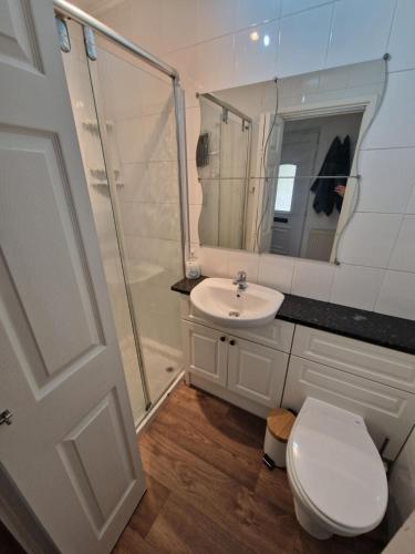 博德明Cosy Self Contained Annexe的浴室配有卫生间、盥洗盆和淋浴。