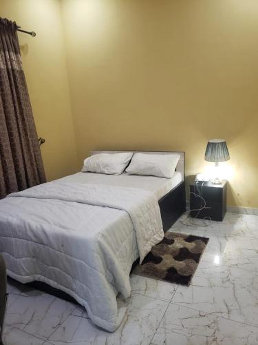 拉各斯Truth Key Hotel & Suites的一间卧室配有一张大床和一盏灯
