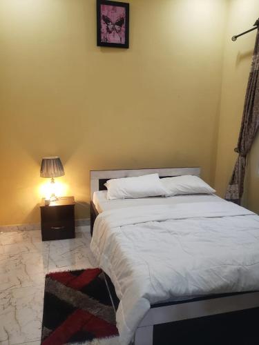 拉各斯Truth Key Hotel & Suites的卧室配有一张带灯的白色大床