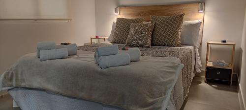 托雷利亚诺Apartamento La Paz的一间卧室配有一张大床和枕头