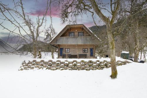 波希基斯卡贝拉Chalet Kupljenik Near Bled Lake的雪地里的小木屋,有树