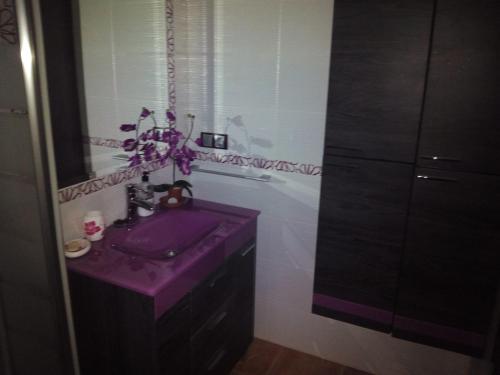 卡索拉Casa Hortensia的一间带紫色水槽和镜子的浴室