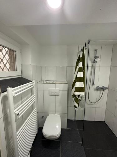 汉诺威Charmante 2 Zimmer Souterrain的白色的浴室设有卫生间和淋浴。