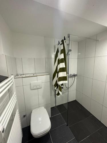 汉诺威Charmante 2 Zimmer Souterrain的白色的浴室设有卫生间和淋浴。