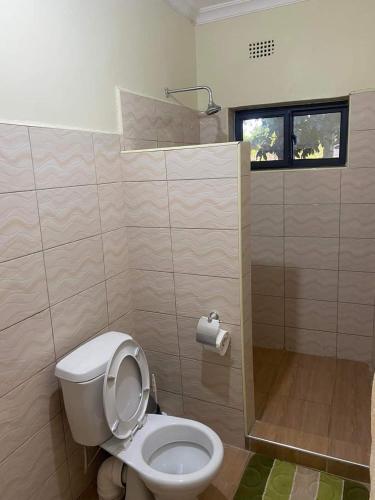 NkhotakotaStone Terrace Lodge的一间带卫生间和淋浴的浴室