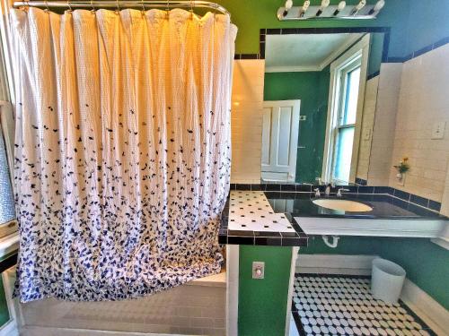 匹兹堡Point Breeze Guest House的浴室配有淋浴帘和盥洗盆。