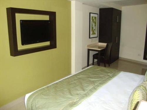 卡波圣卢卡斯Cabo room的一间卧室配有一张带电视和书桌的床。
