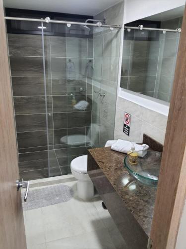 帕尔米拉HOTEL MELAO的一间带卫生间和玻璃淋浴间的浴室