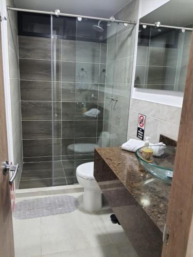 帕尔米拉Hotel Melao的一间带卫生间和玻璃淋浴间的浴室