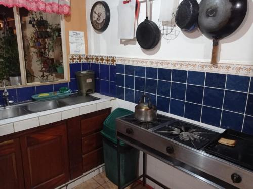圣何塞Hostel Casa Ridgway的厨房配有炉灶以及带锅碗瓢盆的盥洗池。