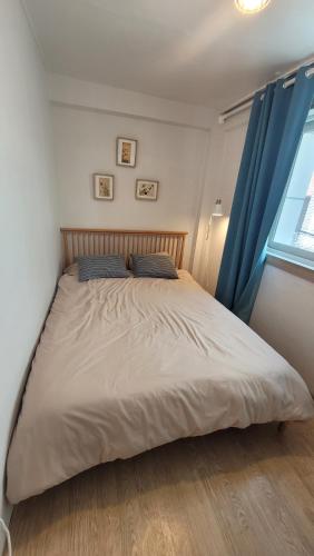 首尔Cosy 2 room flat nearby river的一间卧室配有一张带蓝色窗帘的大床