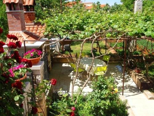 斯廷佳Ferienwohnung für 2 Personen ca 17 qm in Pula-Fondole, Istrien Istrische Riviera的花园种有红色的鲜花,设有围栏