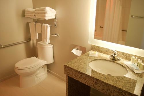 里士满里士满温哥华机场假日酒店的一间带卫生间、水槽和镜子的浴室