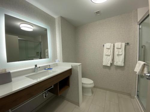 奥罗拉Holiday Inn Express & Suites - Aurora, an IHG Hotel的一间带水槽、卫生间和镜子的浴室