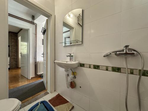 萨拉热窝Pool Villa Sarajevo的一间带水槽、卫生间和镜子的浴室