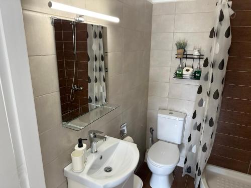 卡斯特拉基翁Paradise of Meteora B的一间带卫生间和水槽的小浴室