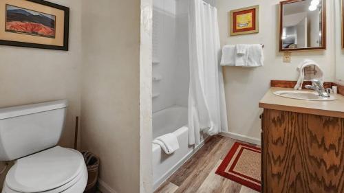 狄龙1BR Rustic Retreat Near Trails and Slopes的浴室配有卫生间、淋浴和盥洗盆。