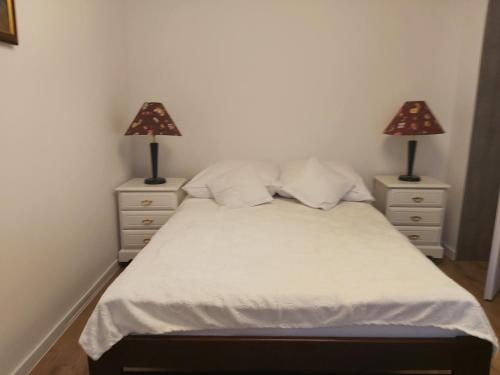 维什库夫Przy Parku的一间卧室配有两个床头柜和一张带两盏灯的床。