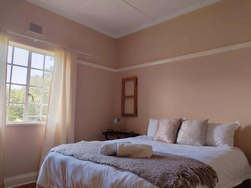 Van Reenen江景江山旅馆的一间卧室设有一张大床和窗户