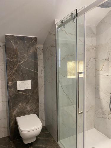 帕艾维坡斯特Maison Paray- Orly- Parking Privé的一间带卫生间和玻璃淋浴间的浴室