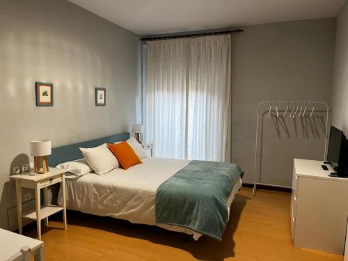 莱昂圣马丁旅馆的一间卧室配有一张大床和电视