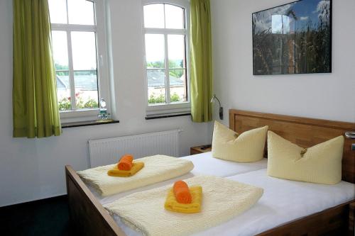 施莱茨Pension und Ferienwohnung am Teich的带窗户的客房内的两张单人床