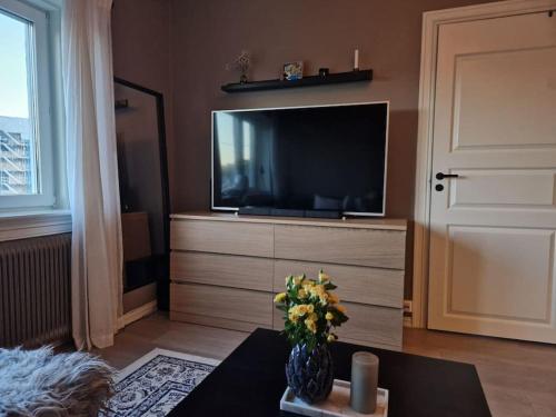 奥斯陆Private Apartment in Oslo的一间带电视和花瓶的客厅