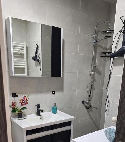 第比利斯Mari的浴室配有盥洗盆和带镜子的淋浴