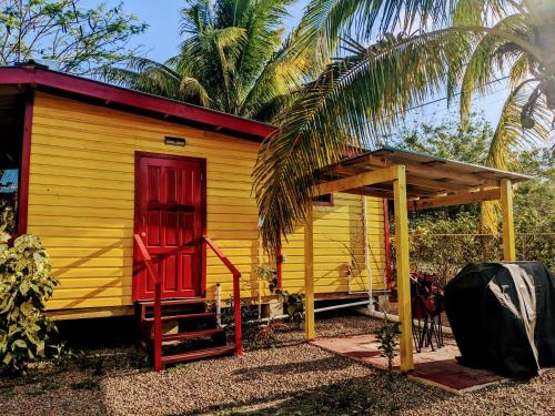 圣伊格纳西奥Garden Cottage的一座黄色的小房子,有红色的门和棕榈树