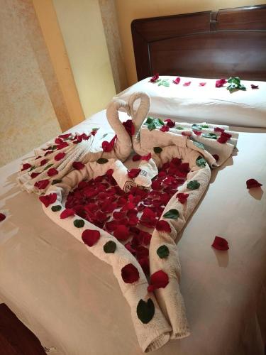 拉巴斯Hotel Lizarraga的红色玫瑰花瓣和心中覆盖的床