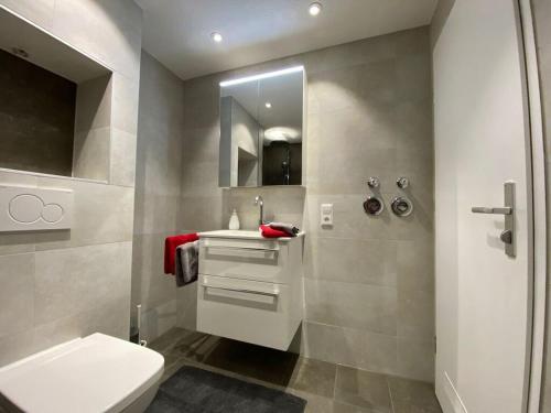 托特莫斯Black Forest Nest的一间带卫生间、水槽和镜子的浴室