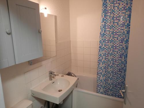 塞尼奥斯Appartement Seignosse, 1 pièce, 2 personnes - FR-1-239-871的一间带水槽和淋浴帘的浴室