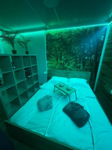 波扎雷瓦茨Vikendica Freedom的一间卧室配有一张蓝色的灯光床