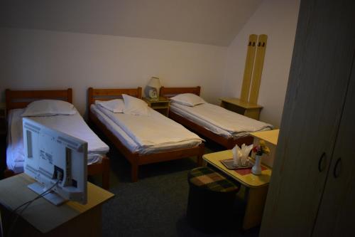 克卢日-纳波卡Alesiv的酒店客房设有两张床和一台电脑显示器