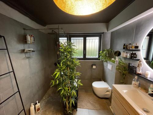 圣洛朗-德米尔Casa Lovo的浴室设有卫生间和植物