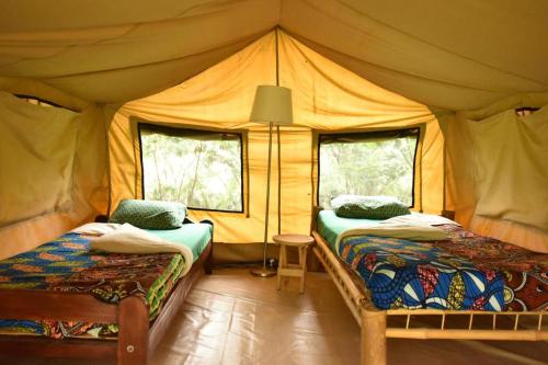 NyakinamaRoom in BB - Red Rocks Rwanda - Safari Tent Twin的一间帐篷内带两张床的卧室