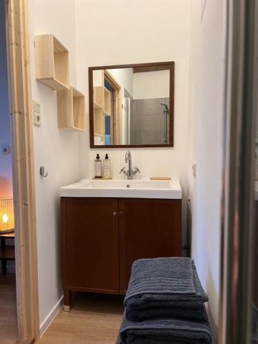 马斯特里赫特B&B Sjaanderhof的一间带水槽和镜子的浴室