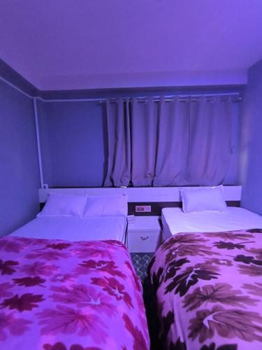TāplejungHOTEL CENTRE POINT RESTAURANT & Lodge的配有紫色天花板的小客房内的两张床