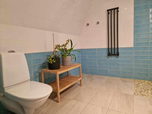 哥德堡Gula Villan的浴室设有卫生间,铺有蓝色和白色瓷砖。