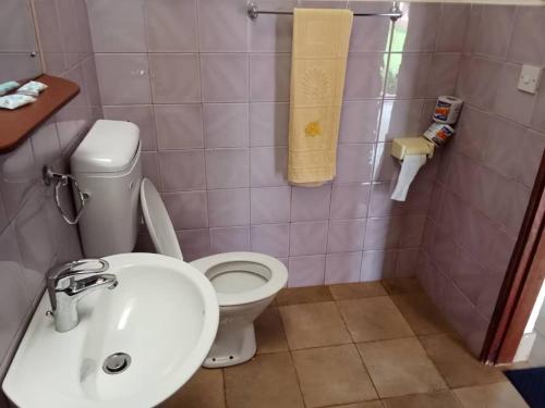 OldeaniSTC.SAFARI LODGE的浴室配有白色卫生间和盥洗盆。
