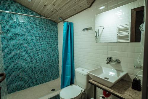 安布罗劳里ციბენა • Tsibena的浴室配有卫生间、盥洗盆和淋浴。
