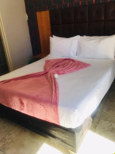 开普敦Andrienne Lodge Cape Town的一张白色的床,上面有红毯