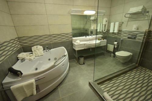 奥兰HOTEL PLAZA ORAN的带浴缸、盥洗盆和卫生间的浴室