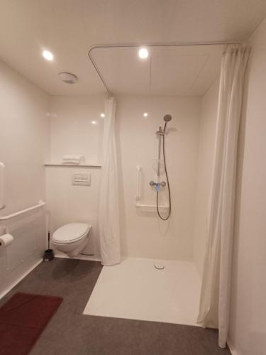 克莱苏伊CRYSTAL HOTEL的白色的浴室设有卫生间和淋浴。