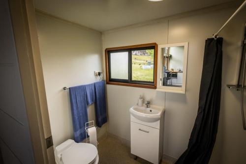 WindeyerSithuri Tiny House的一间带卫生间、水槽和窗户的浴室