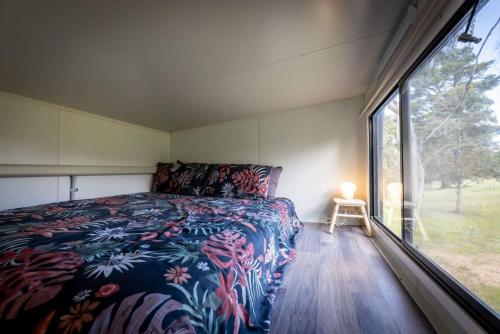 WindeyerTiny House Farmstay at Dreams Alpaca Farm - A Windeyer Outback Experience的一间卧室设有一张床和一个大窗户