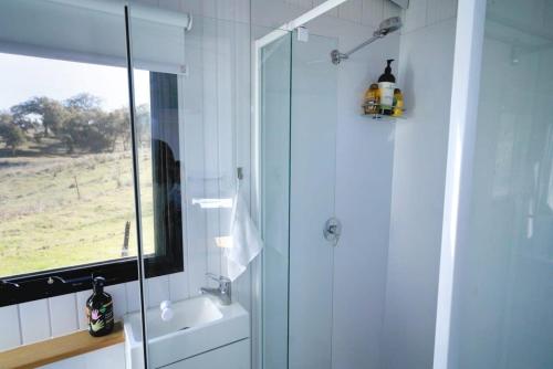 库纳巴拉布兰Little Argyle Tiny House的带淋浴、卫生间和盥洗盆的浴室